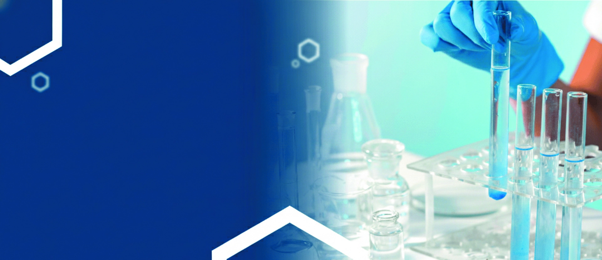 Microbiológico In Vitro